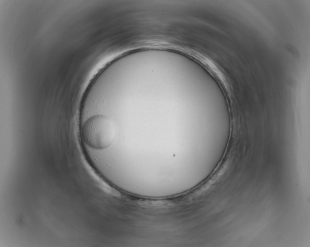 X0000112011432200908031012