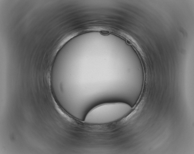 X0000112011433200908031012