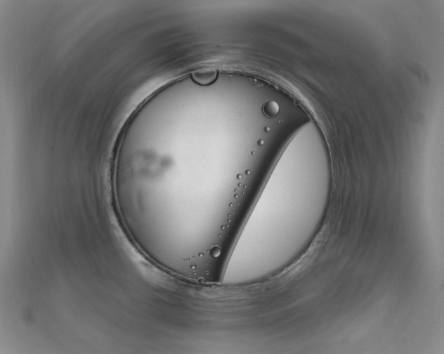 X0000112011434200908031012