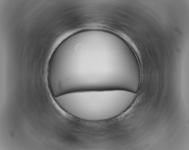 X0000112011437200908031012