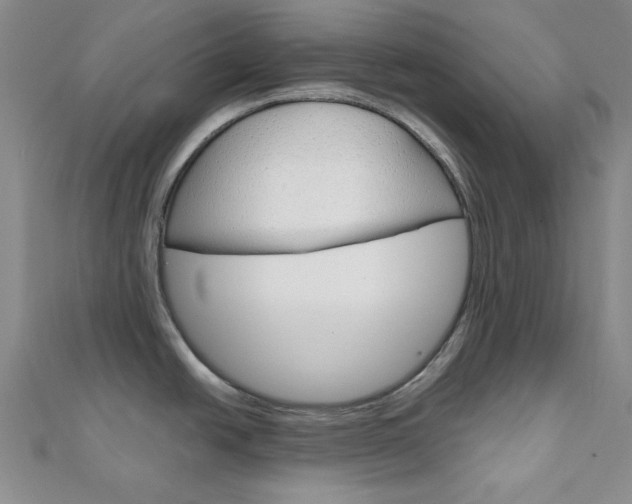 X0000112011438200908031012