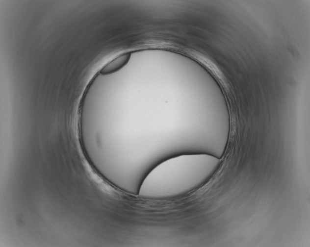 X0000112011439200908031012