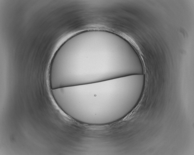 X0000112011440200908031012