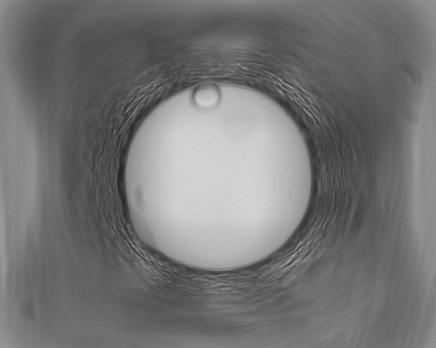 X0000112011441200908031011