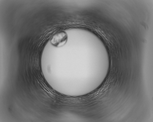 X0000112011444200908031011