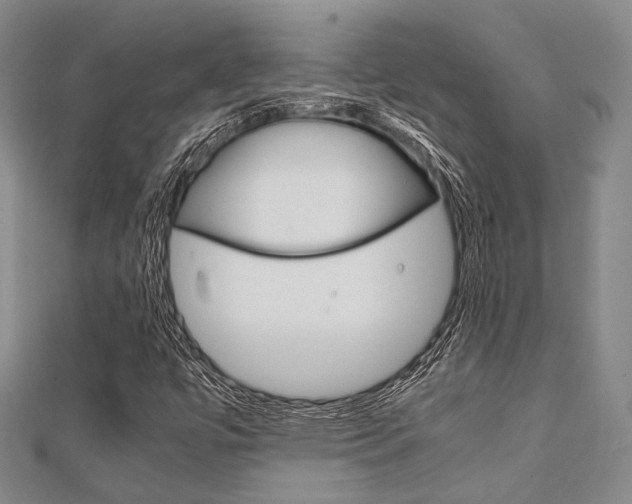 X0000112011447200908031011