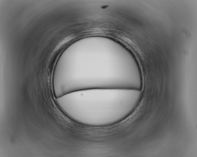 X0000112011450200908031011