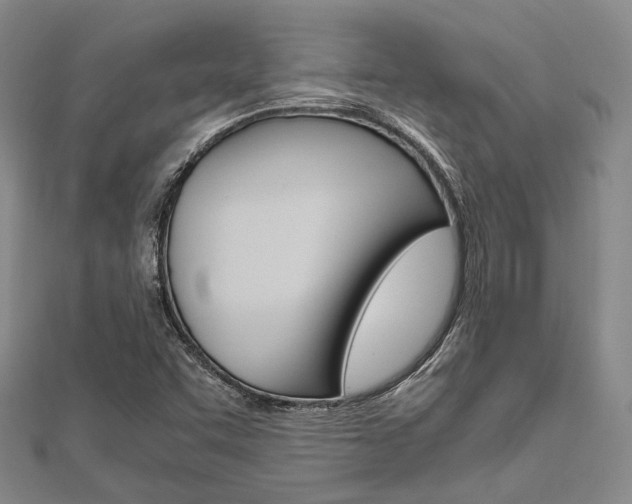 X0000112011455200908031011