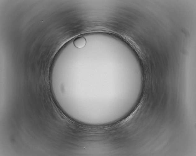 X0000112011457200908031011