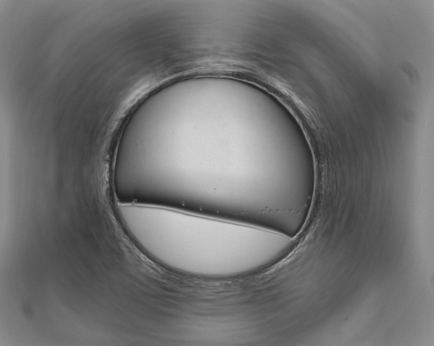 X0000112011459200908031011
