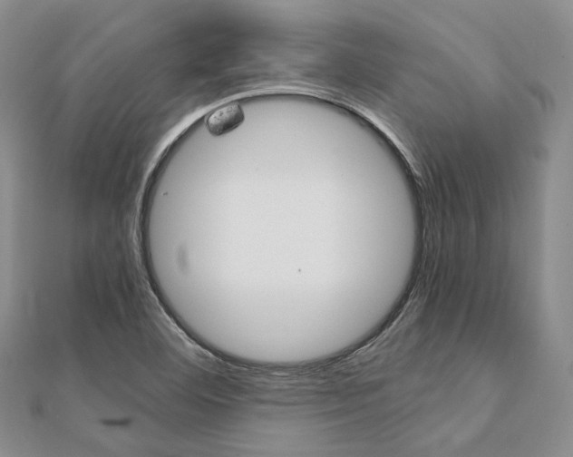 X0000112011460200908031011