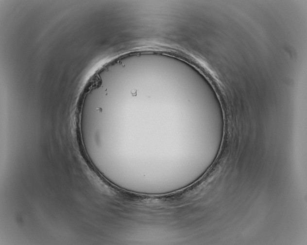 X0000112011463200908031011