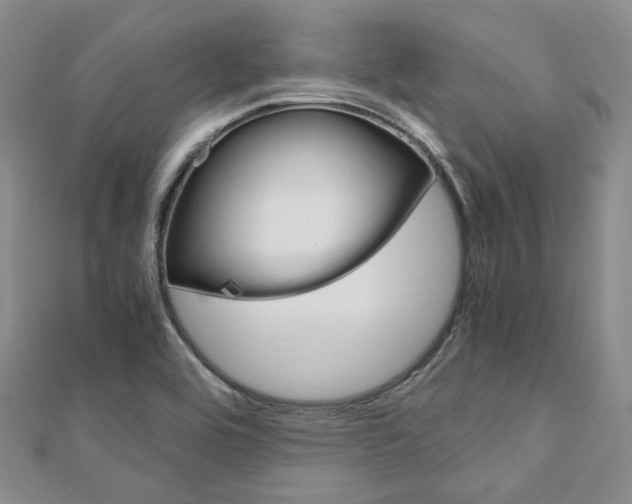 X0000112011464200908031011