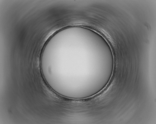 X0000112011465200908031011