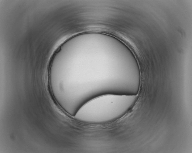 X0000112011467200908031011
