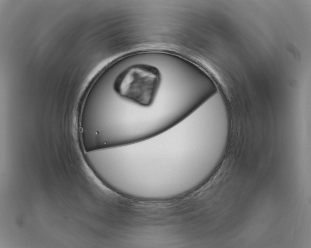 X0000112011468200908031011