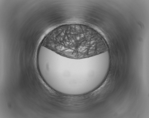 X0000112011469200908031011