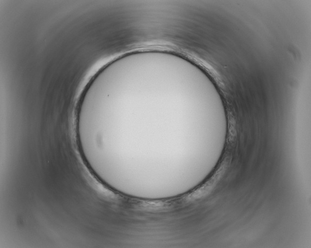 X0000112011470200908031011