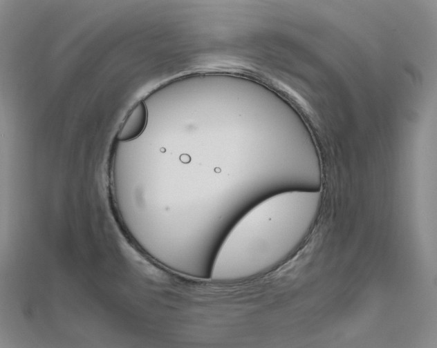 X0000112011471200908031011
