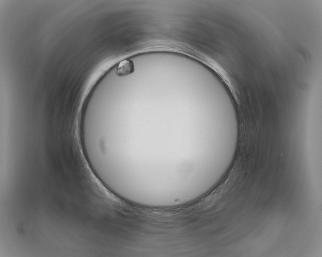 X0000112011472200908031011