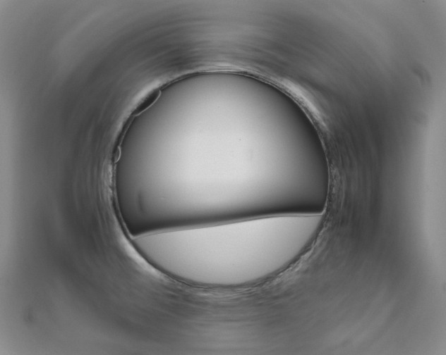 X0000112011476200908031011