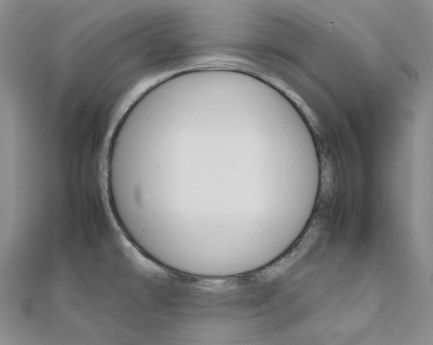 X0000112011478200908031011