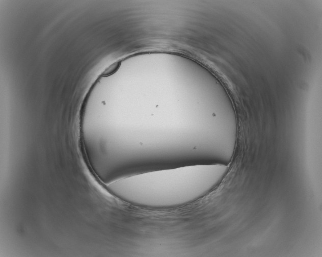 X0000112011479200908031011