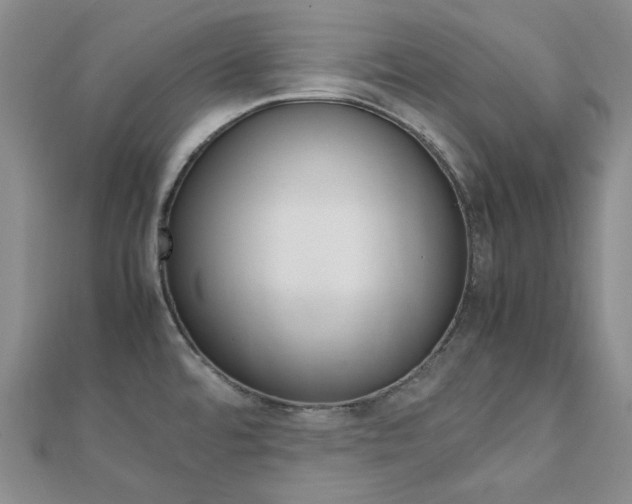 X0000112011480200908031011