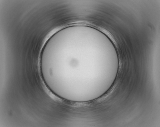 X0000112011482200908031011