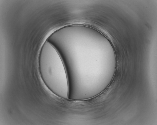 X0000112011483200908031011