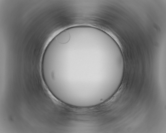 X0000112011485200908031011