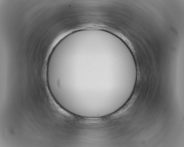 X0000112011486200908031011