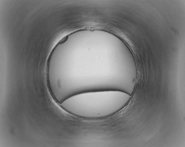 X0000112011487200908031011