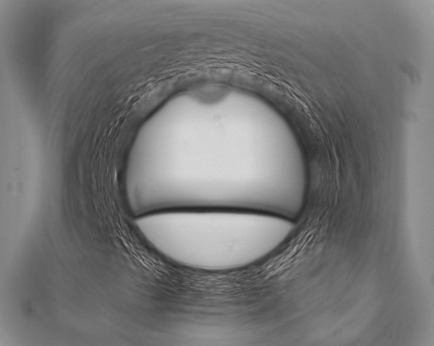 X0000112011489200908031010