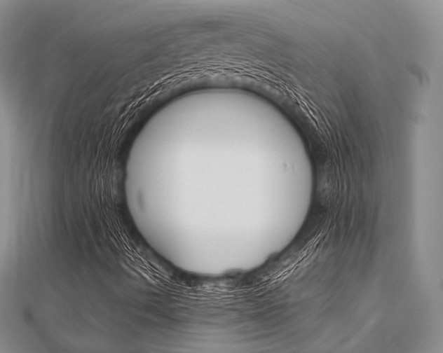 X0000112011490200908031010