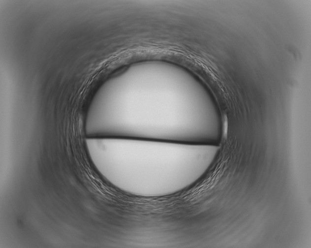 X0000112011492200908031010