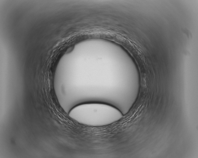 X0000112011493200908031010