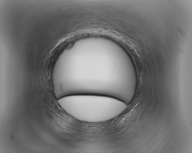 X0000112011494200908031010