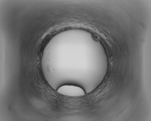 X0000112011495200908031010