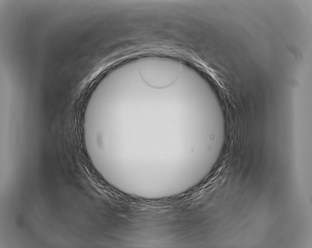 X0000112011496200908031010