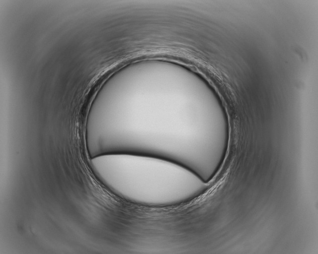 X0000112011497200908031010