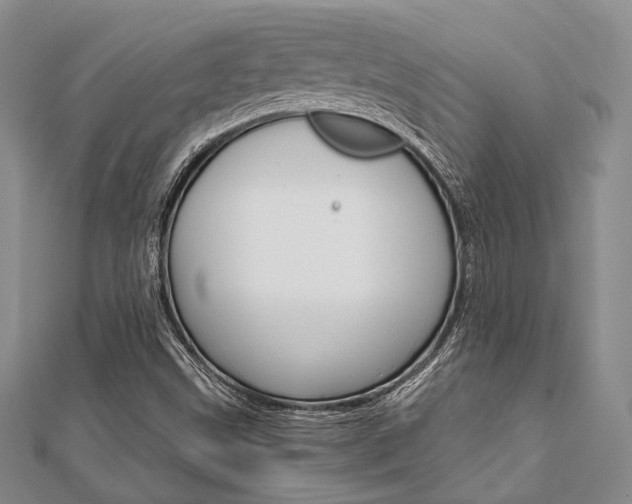 X0000112011499200908031010