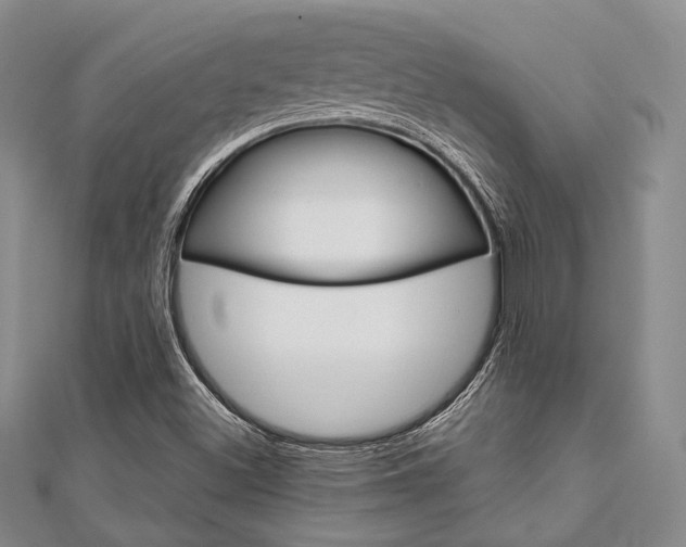 X0000112011500200908031010