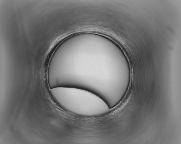 X0000112011501200908031010