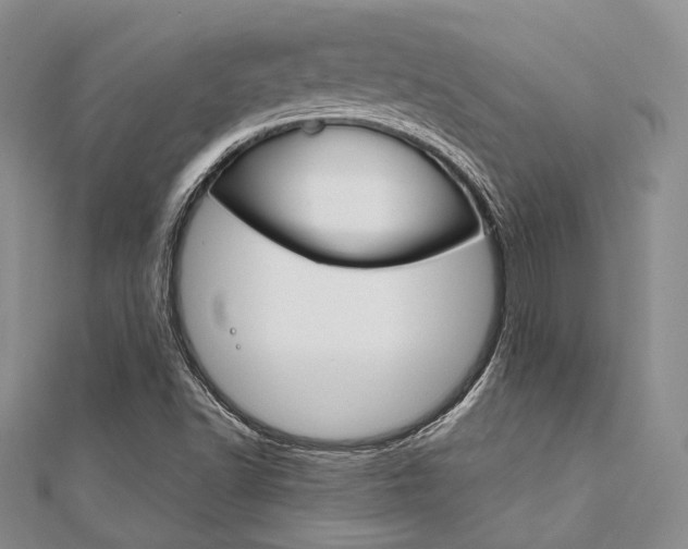 X0000112011502200908031010
