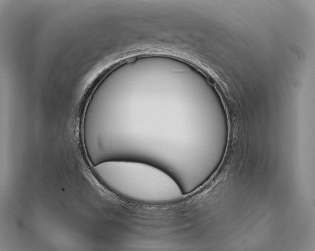 X0000112011503200908031010