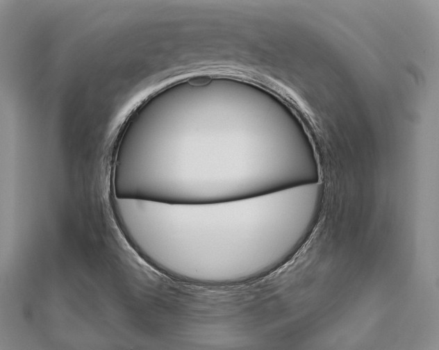 X0000112011504200908031010