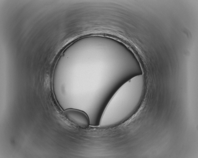 X0000112011505200908031010