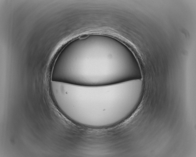 X0000112011506200908031010