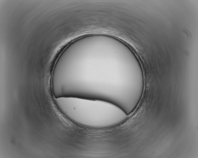 X0000112011507200908031010